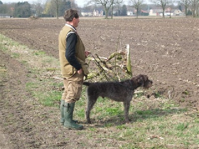 Des grandes origines - Bernard Faussrier champion d'Europe de Printemps des griffons Korthals