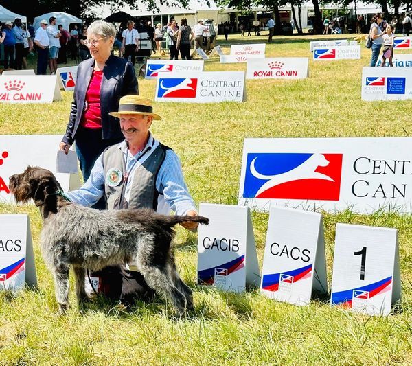 Des grandes origines - champion de FRance de beauté avec Riri des grandes origines